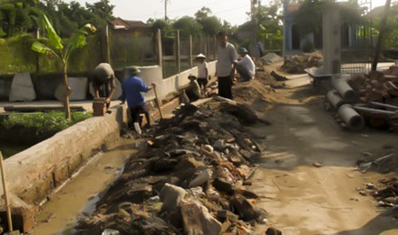 Gemeinde Dong Tho mobilisiert Bürger zum Aufbau ländlicher Räume - ảnh 1